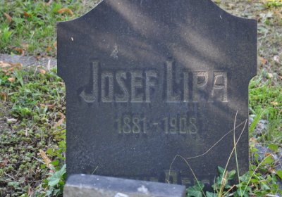 Teplice městský, Omnium, 2020