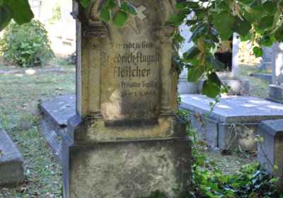 Teplice městský, Omnium, 2020