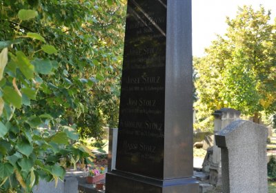 Teplice městský, Omnium, 2020