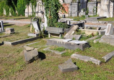 Teplice městský, Omnium, 2020