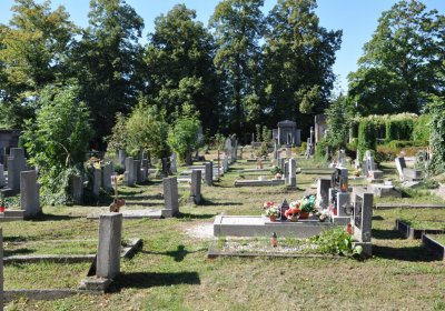 Teplice městský, Omnium, 2020