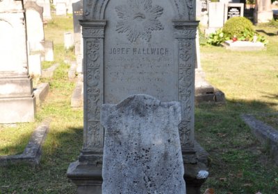 Teplice městský, Omnium, 2020