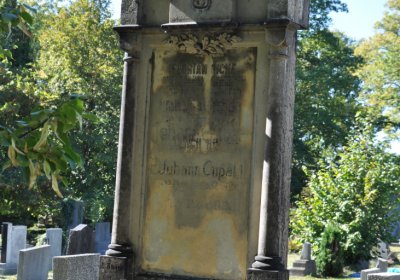 Teplice městský, Omnium, 2020