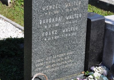 Teplice městský, Omnium, 2020