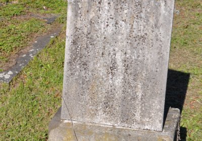 Teplice městský, Omnium, 2020