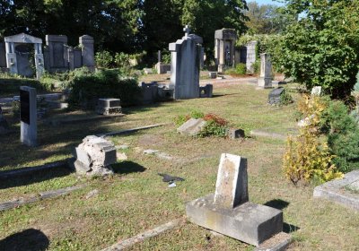 Teplice městský, Omnium, 2020