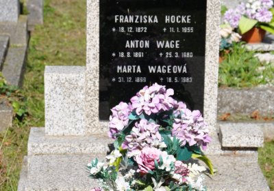 Teplice městský, Omnium, 2020