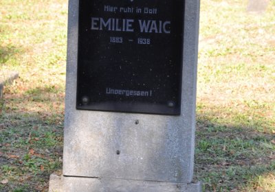 Teplice městský, Omnium, 2020