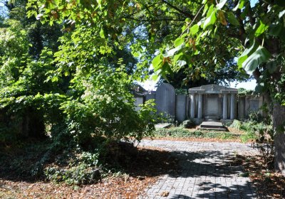 Teplice městský, Omnium, 2020