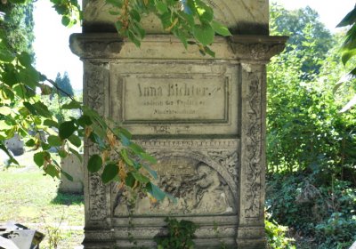 Teplice městský, Omnium, 2020