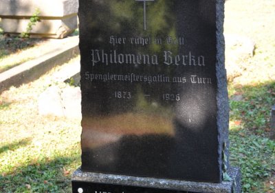 Teplice městský, Omnium, 2020