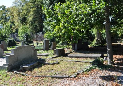 Teplice městský, Omnium, 2020