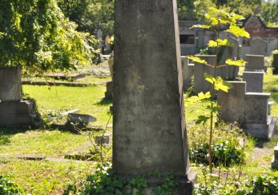 Teplice městský, Omnium, 2020