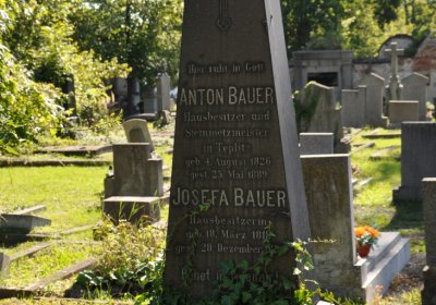 Teplice městský, Omnium, 2020