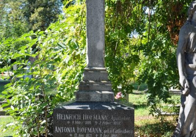 Teplice městský, Omnium, 2020