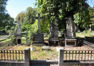 Teplice městský, Omnium, 2020