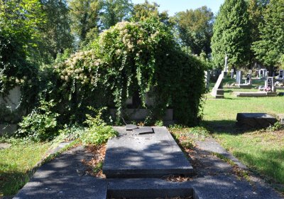 Teplice městský, Omnium, 2020