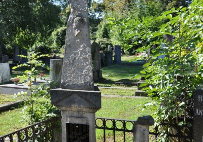 Teplice městský, Omnium, 2020