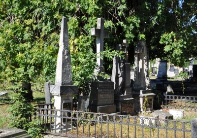 Teplice městský, Omnium, 2020