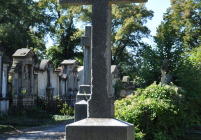 Teplice městský, Omnium, 2020