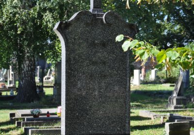 Teplice městský, Omnium, 2020