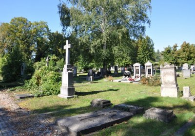 Teplice městský, Omnium, 2020