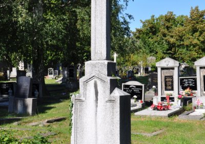 Teplice městský, Omnium, 2020