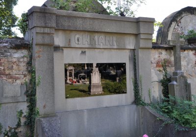 Teplice městský, Omnium, 2020