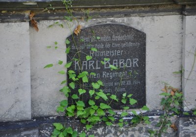 Teplice městský, Omnium, 2020