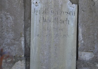 Teplice městský, Omnium, 2020