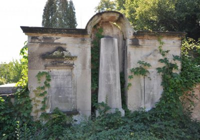 Teplice městský, Omnium, 2020