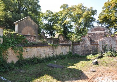 Teplice městský, Omnium, 2020