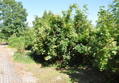 Teplice městský, Omnium, 2020