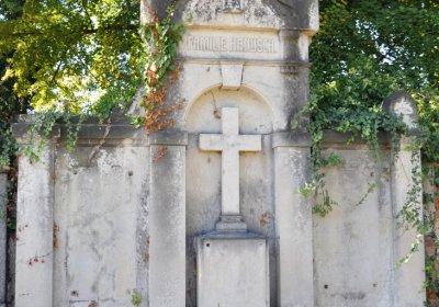 Teplice městský, Omnium, 2020