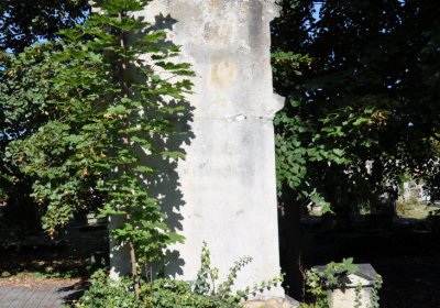 Teplice městský, Omnium, 2020