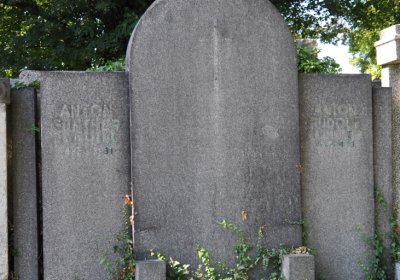 Teplice městský, Omnium, 2020