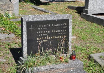 Teplice městský, Omnium, 2020