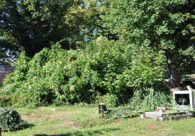 Teplice městský, Omnium, 2020