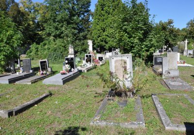 Teplice městský, Omnium, 2020