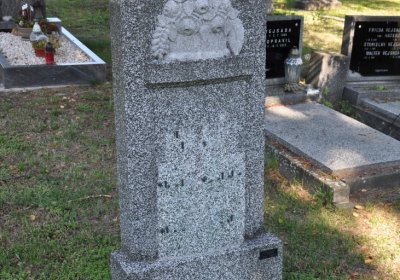 Teplice městský, Omnium, 2020