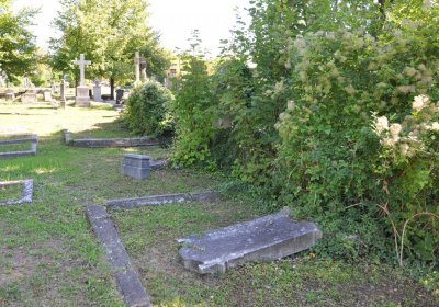 Teplice městský, Omnium, 2020