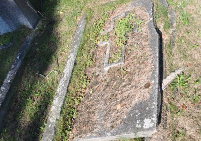 Teplice městský, Omnium, 2020