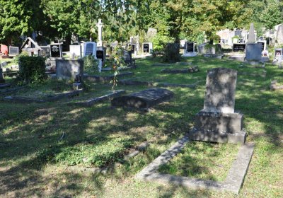 Teplice městský, Omnium, 2020