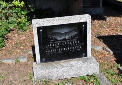 Teplice městský, Omnium, 2020