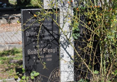 Teplice městský, Omnium, 2020