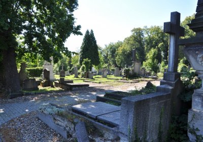 Teplice městský, Omnium, 2020