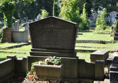 Teplice městský, Omnium, 2020