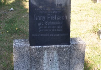 Teplice městský, Omnium, 2020