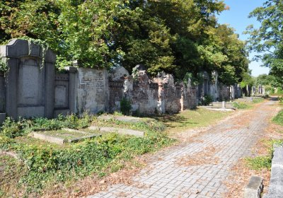 Teplice městský, Omnium, 2020