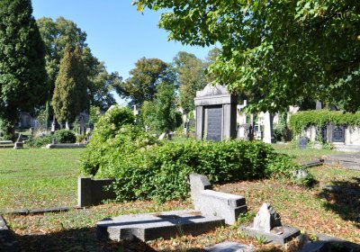 Teplice městský, Omnium, 2020